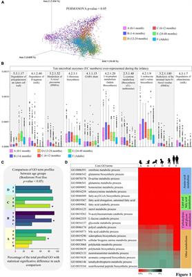 Gut microbe metabolism of small molecules supports human development across the early stages of life